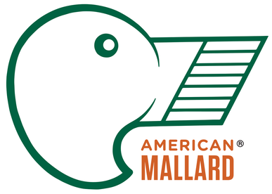 American Mallard Paint Brushes Logo Landing